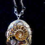 Ammonite 1